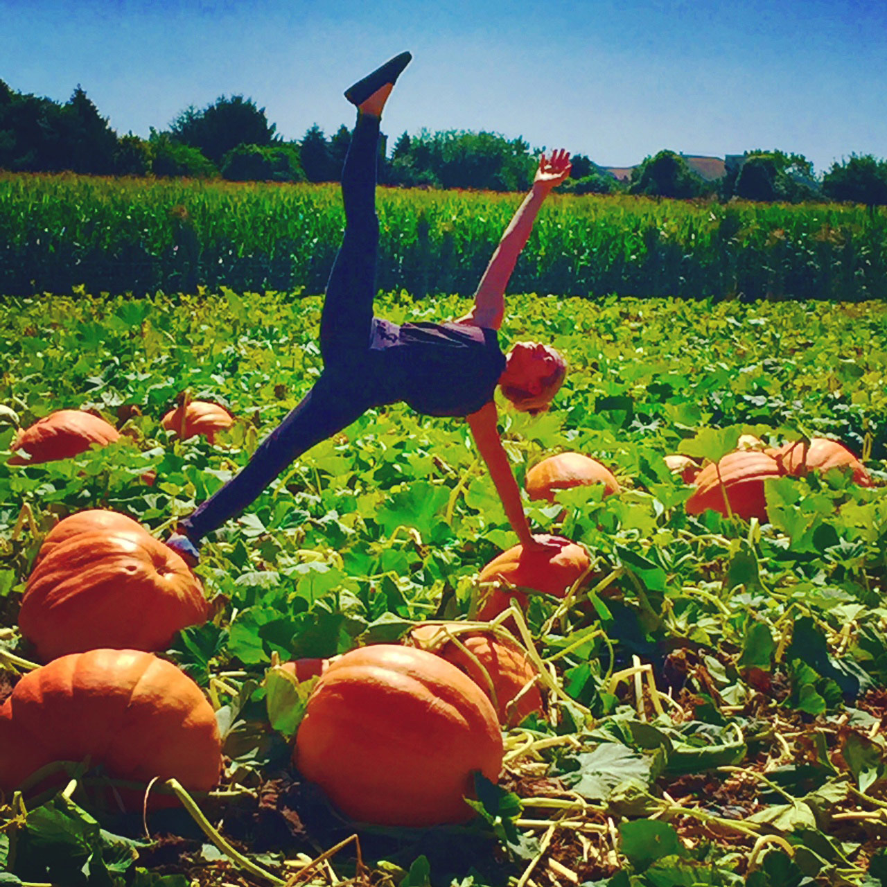 View larger photo of yogi Goldie Oren in a pumpkin field
